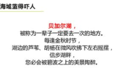 美味(打一字),一场味蕾的奇妙之旅